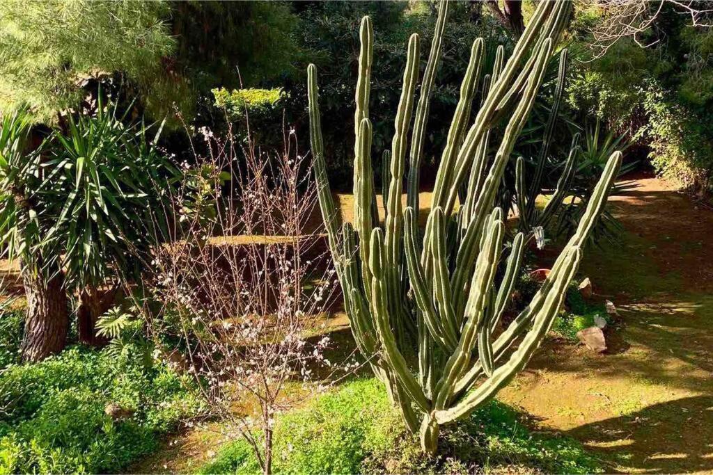 Athens Riviera Garden Views Apartment #Unoblu Exterior foto